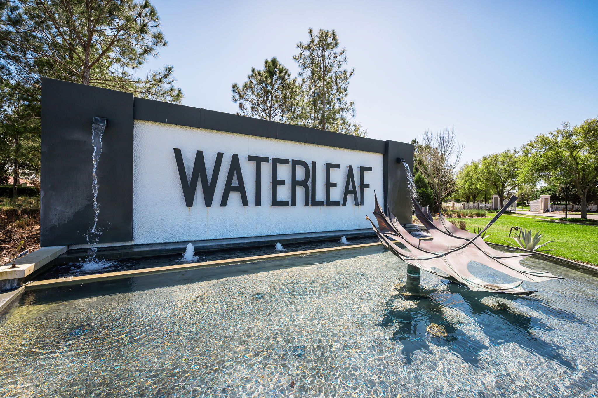 Waterleaf2