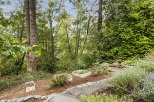 Curated garden boxes for a lush, vibrant yard