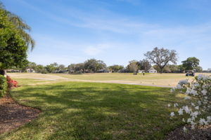 Golf Views