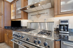 Professional Gas Stove