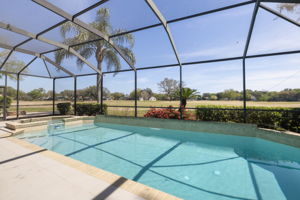 Screened Pool/Spa