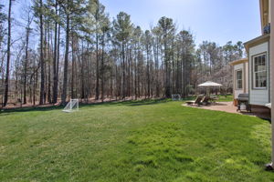 56-Backyard