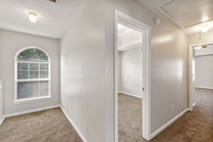 mppmedia168711937springlakeway14