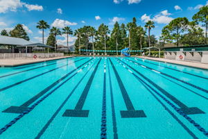 Westchase Community Association Pool and Tennis5