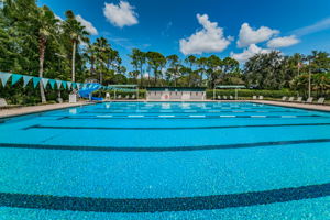 Westchase Community Association Pool and Tennis13