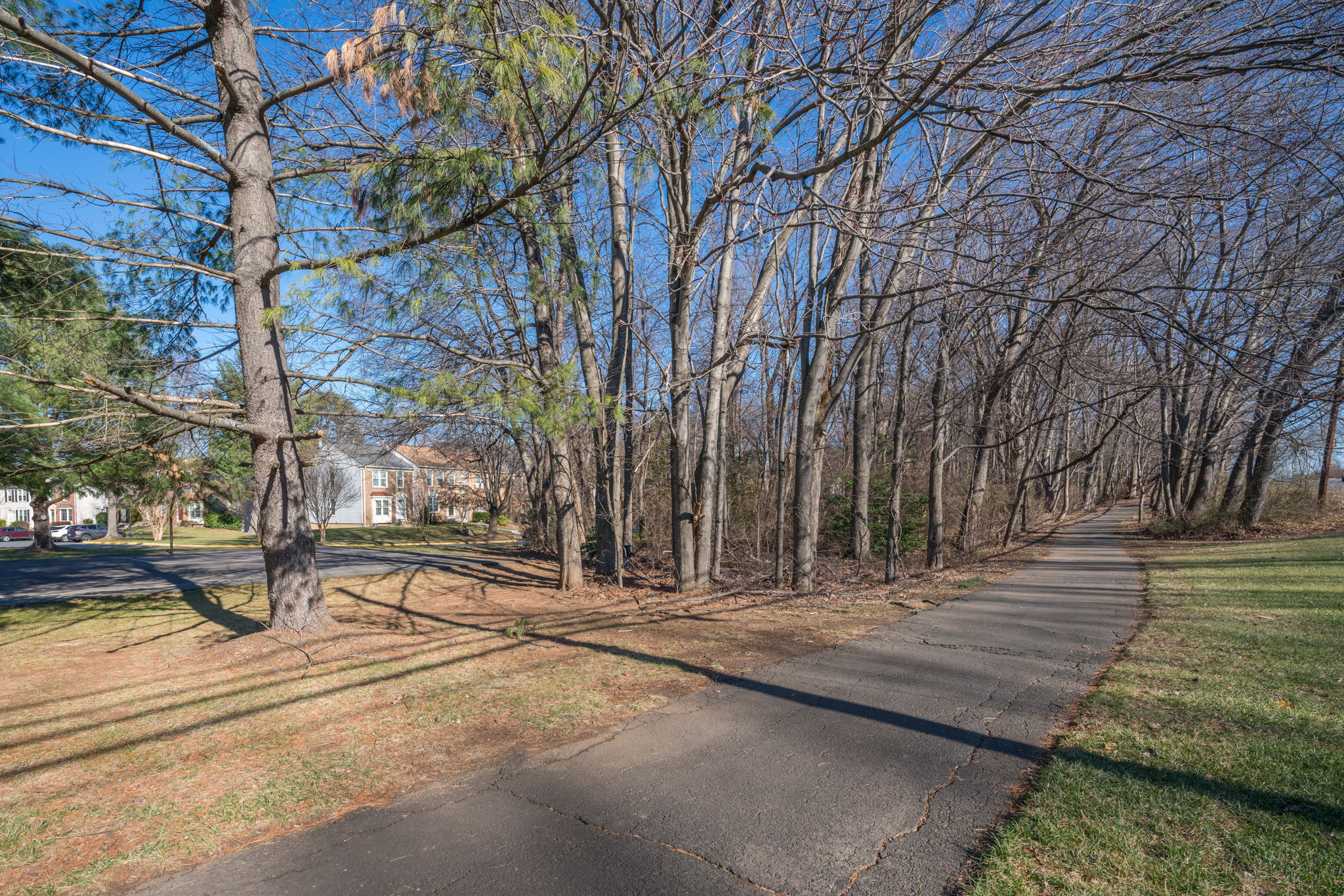 11946 Artery Dr, Fairfax, VA 22030, USA Photo 33