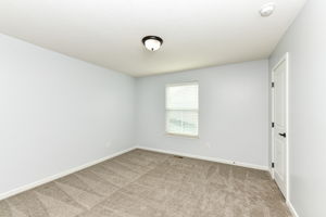  Photo 61