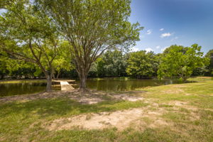 Pier/Pond
