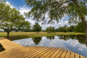 Pier/Pond