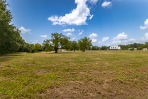 East Side of Property