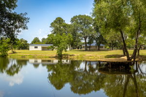 Pond View