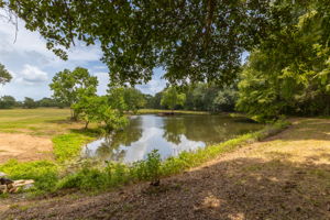 Pond View