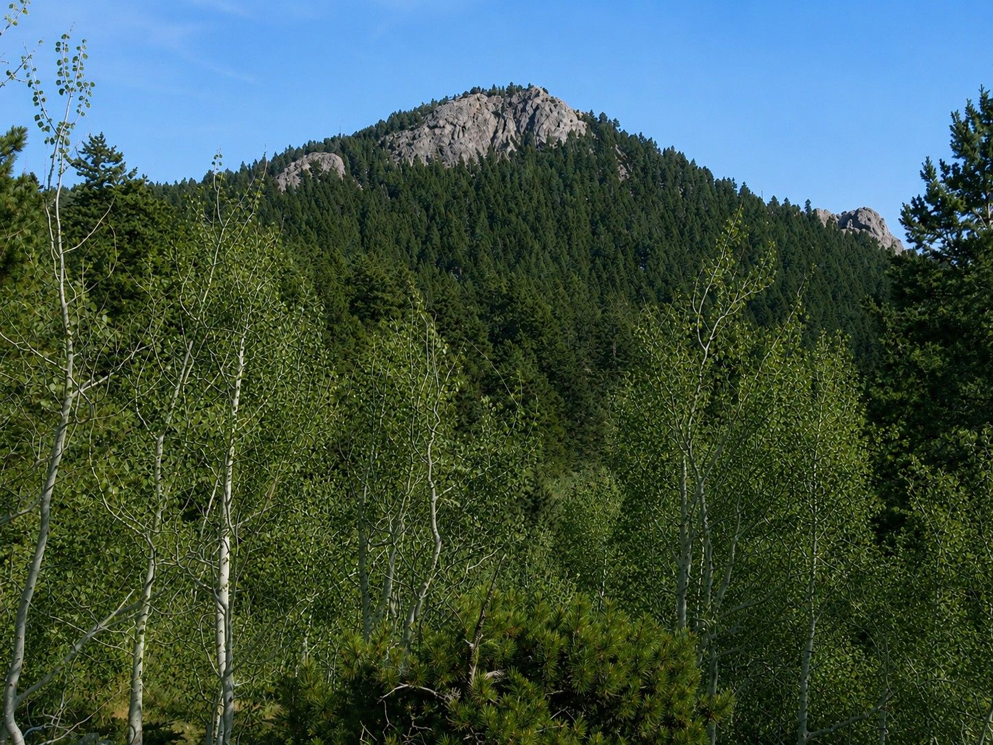  Photo 4