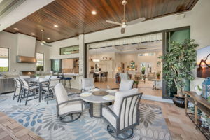 Outdoor Kitchen and Dining