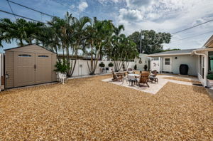 Backyard3