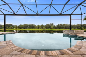Infinity Edge Pool and Spa with Picture Window Screen