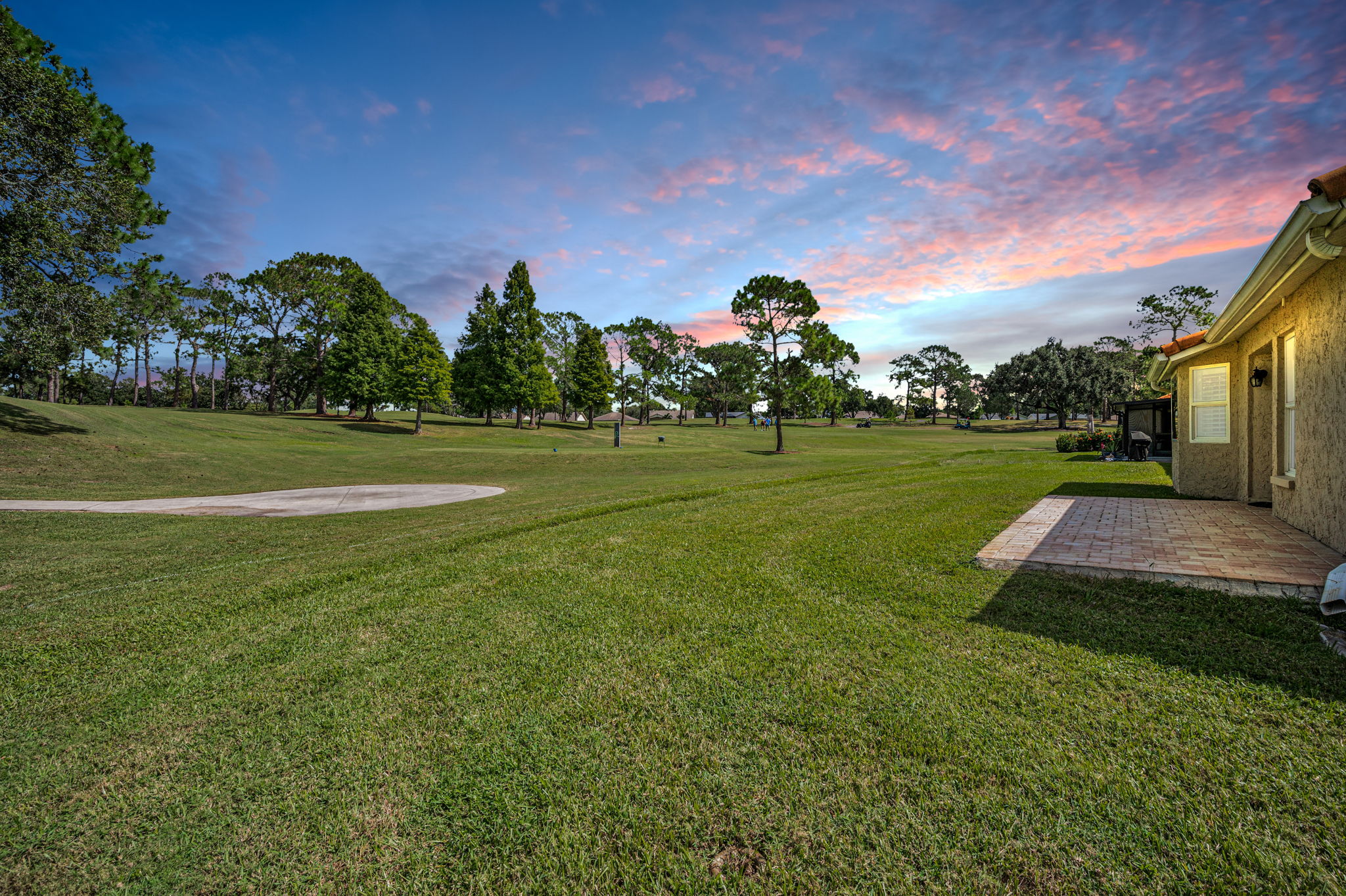 Backyard2