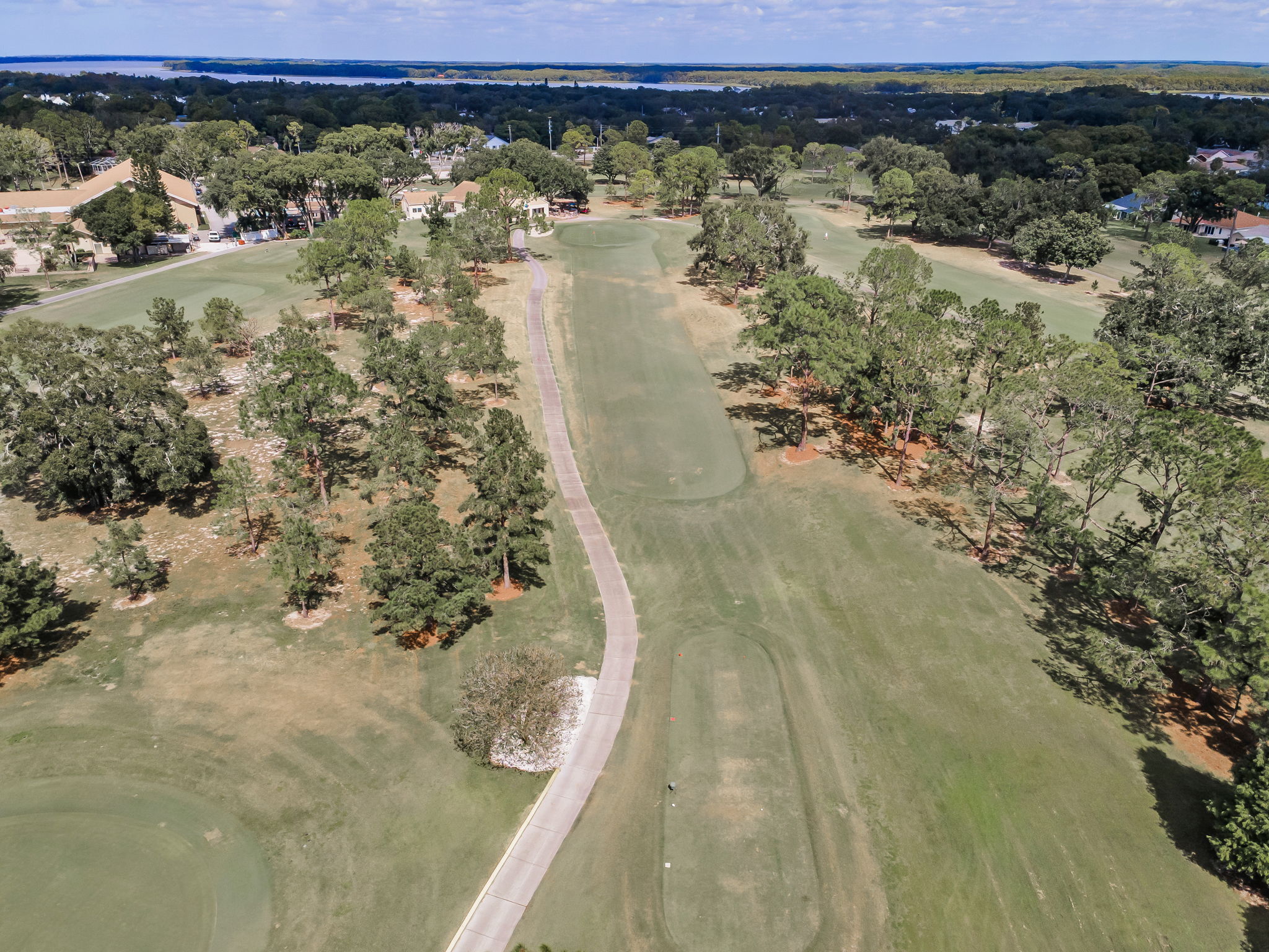 Aerial (9)