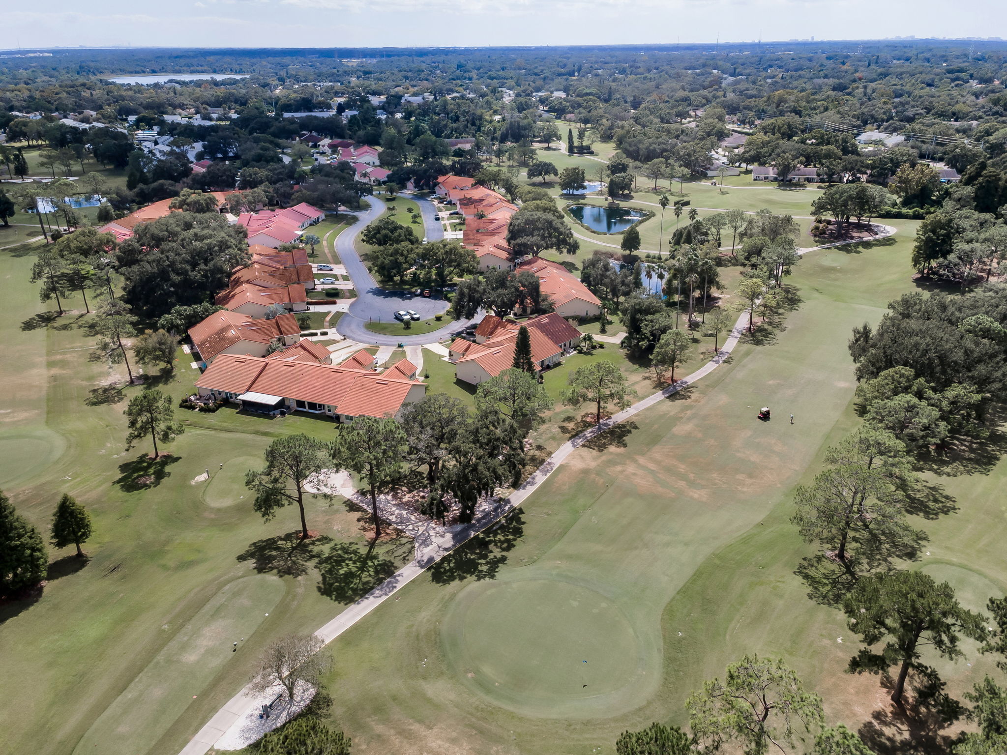 Aerial (10)
