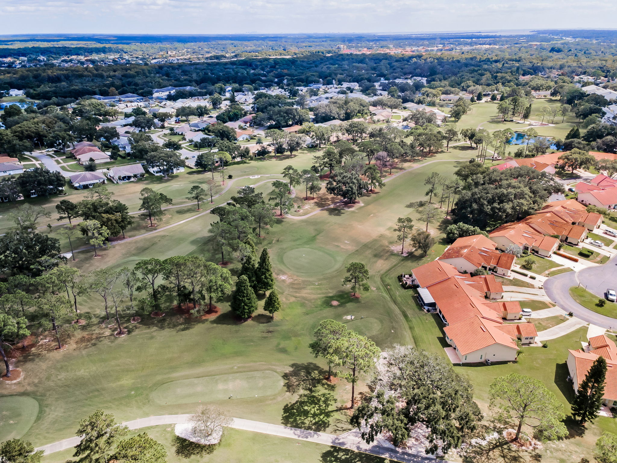 Aerial (12)