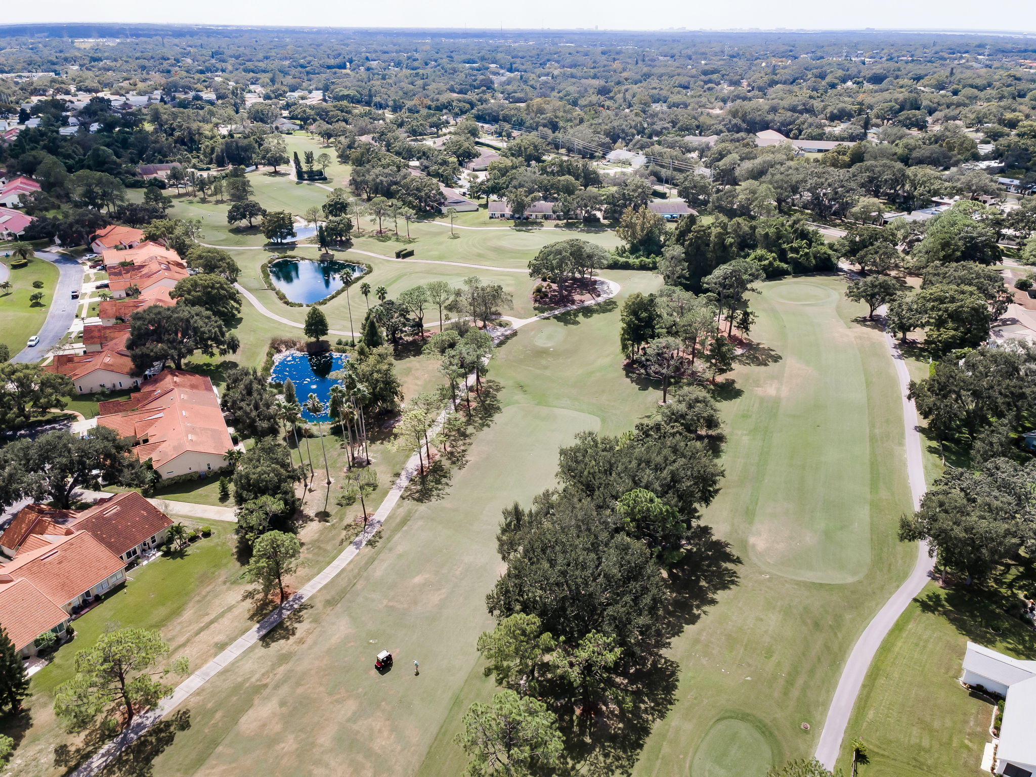 Aerial (20)