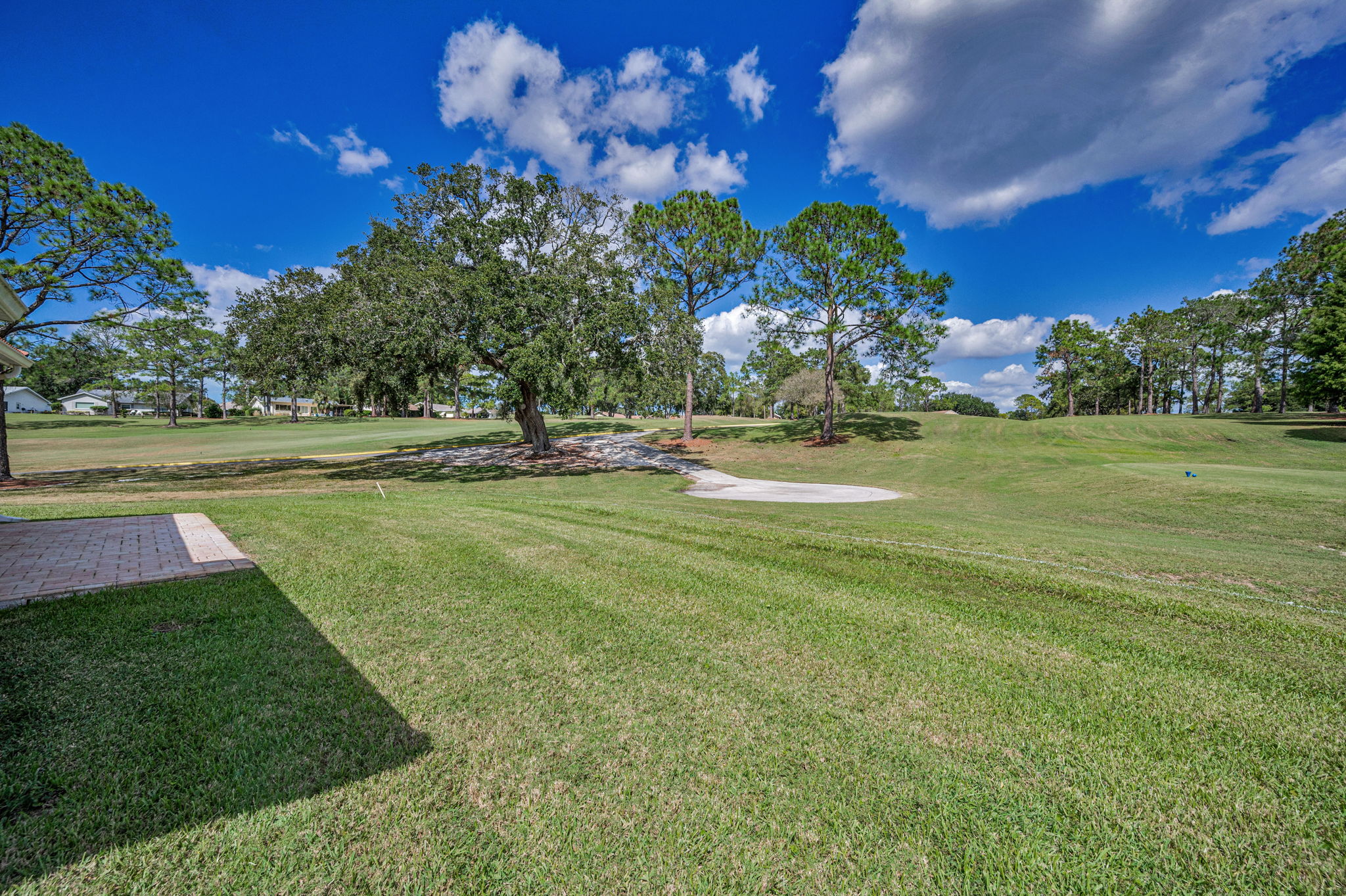 Backyard5