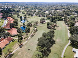 Aerial (20)