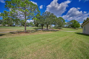 Backyard1