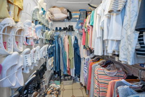 Primary Bedroom Walk-in Closet