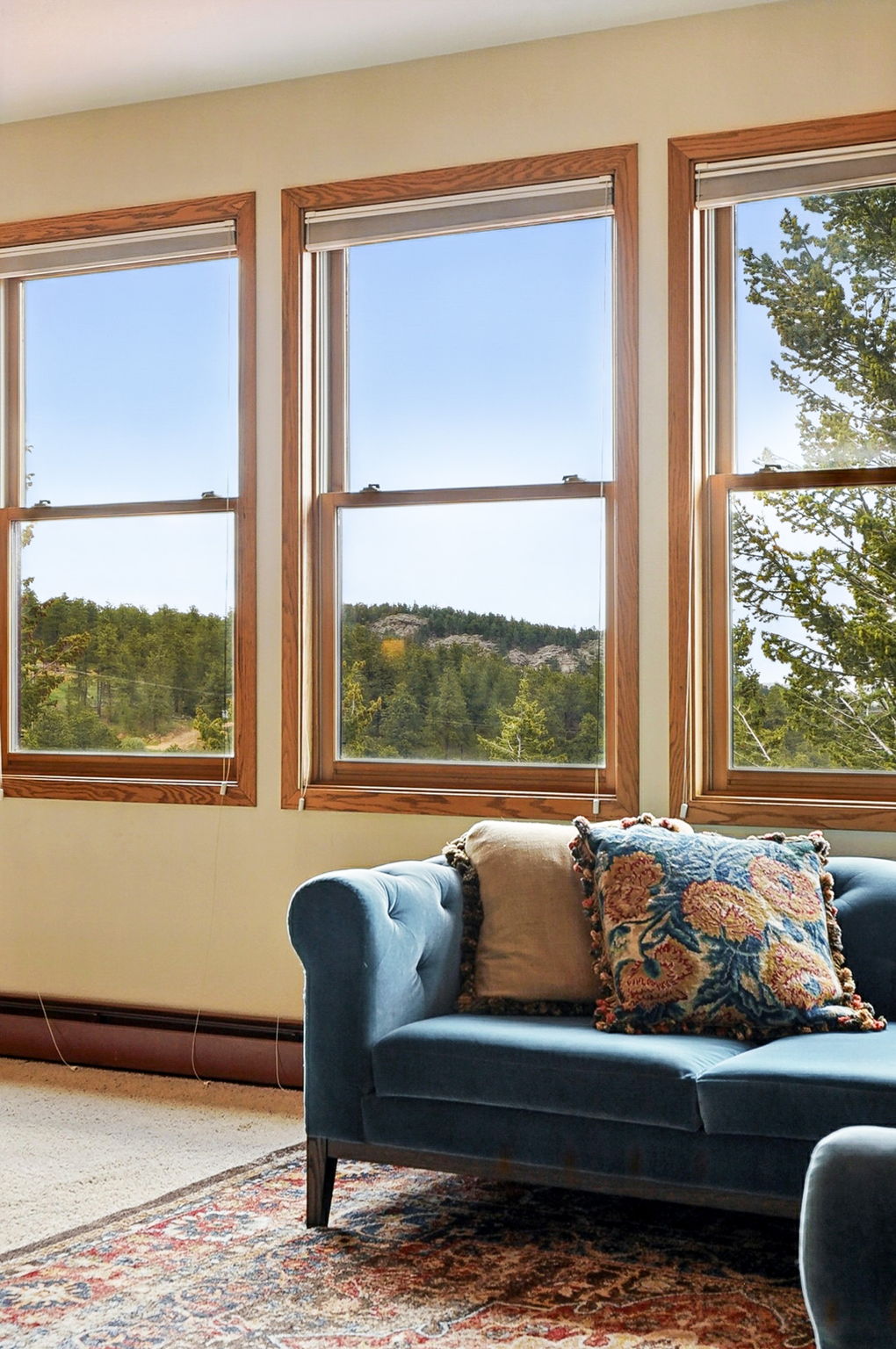  Photo 50