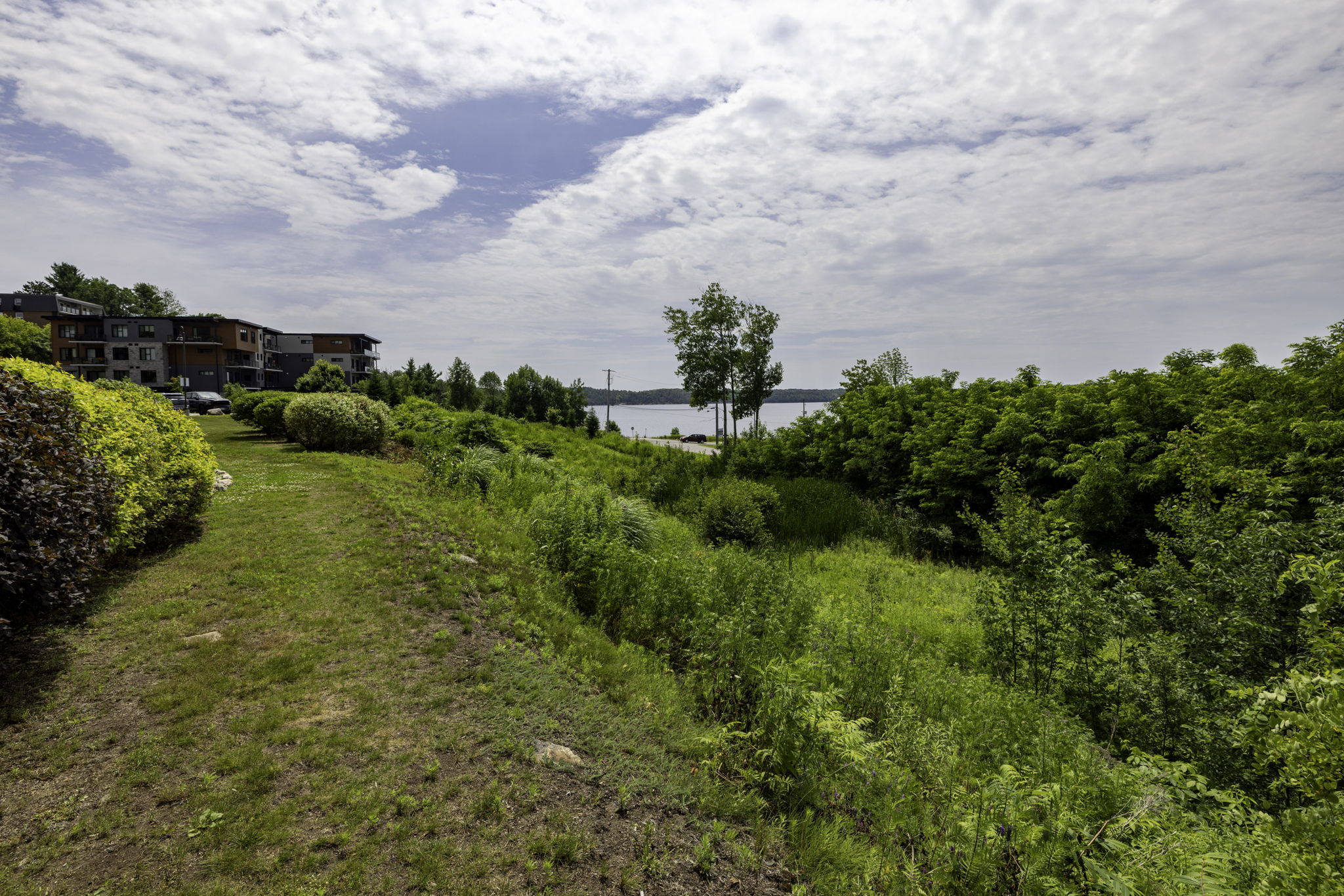  Photo 45