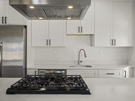 12 Alpine St 2 Worcester MA 8