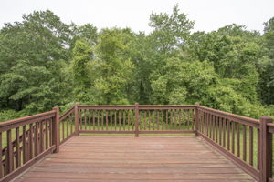  12 Beethoven Ave, Walpole, MA 02081, US Photo 26