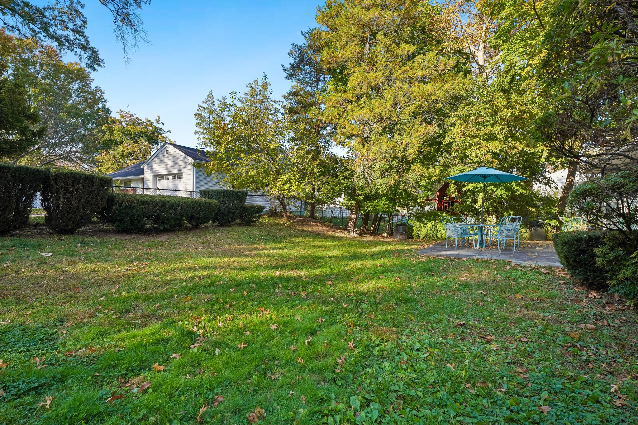 Backyard