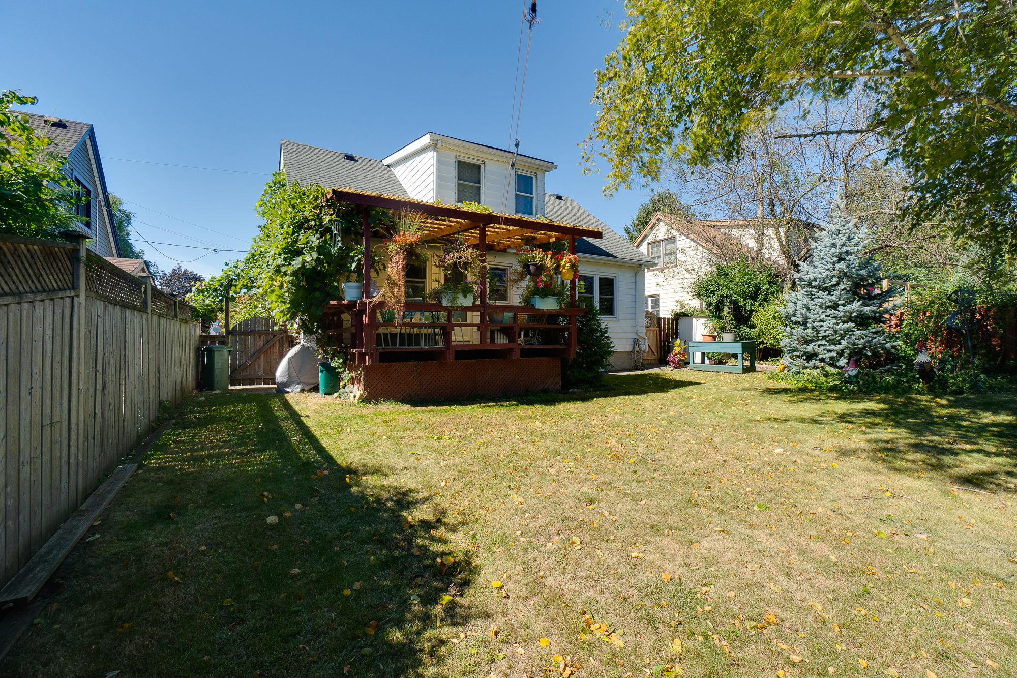 Photo 44