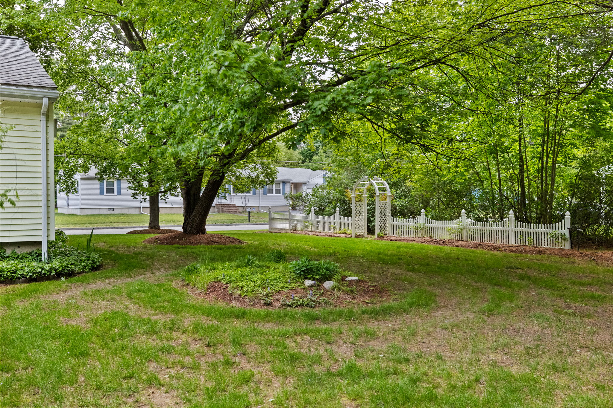  Photo 45