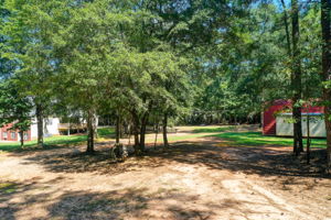 45 Aerial Back Yard B