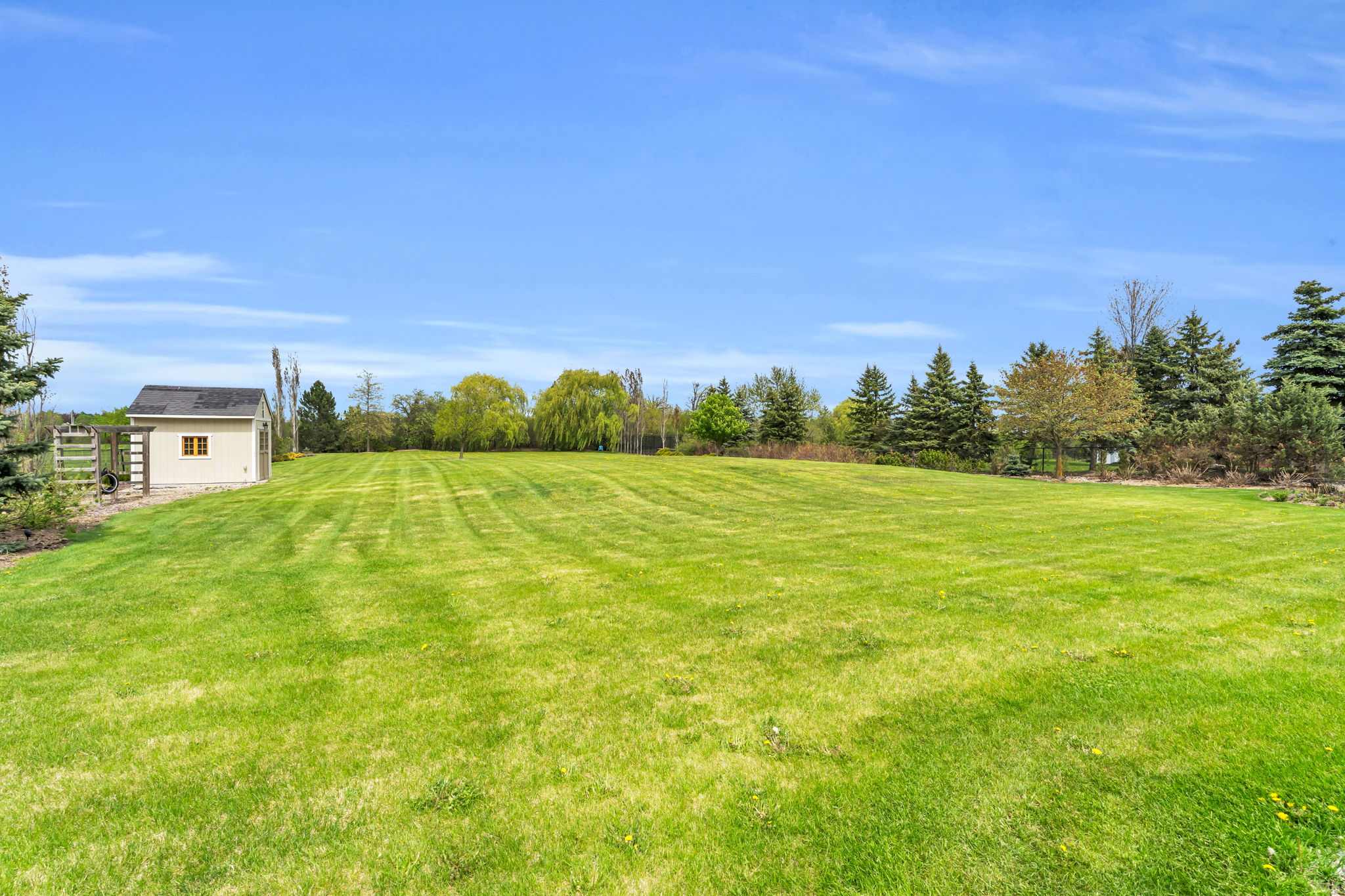 Backyard
