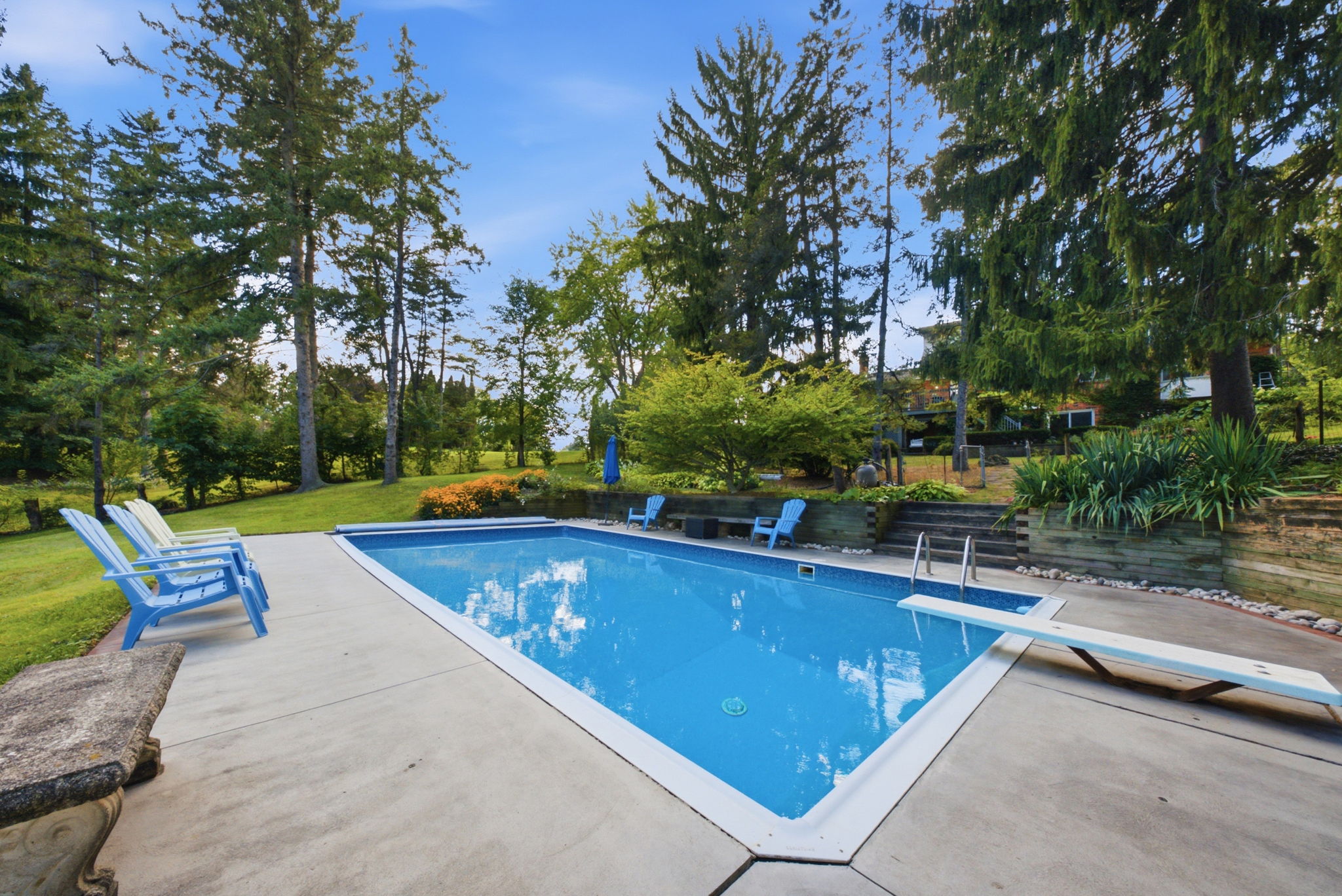  Photo 41