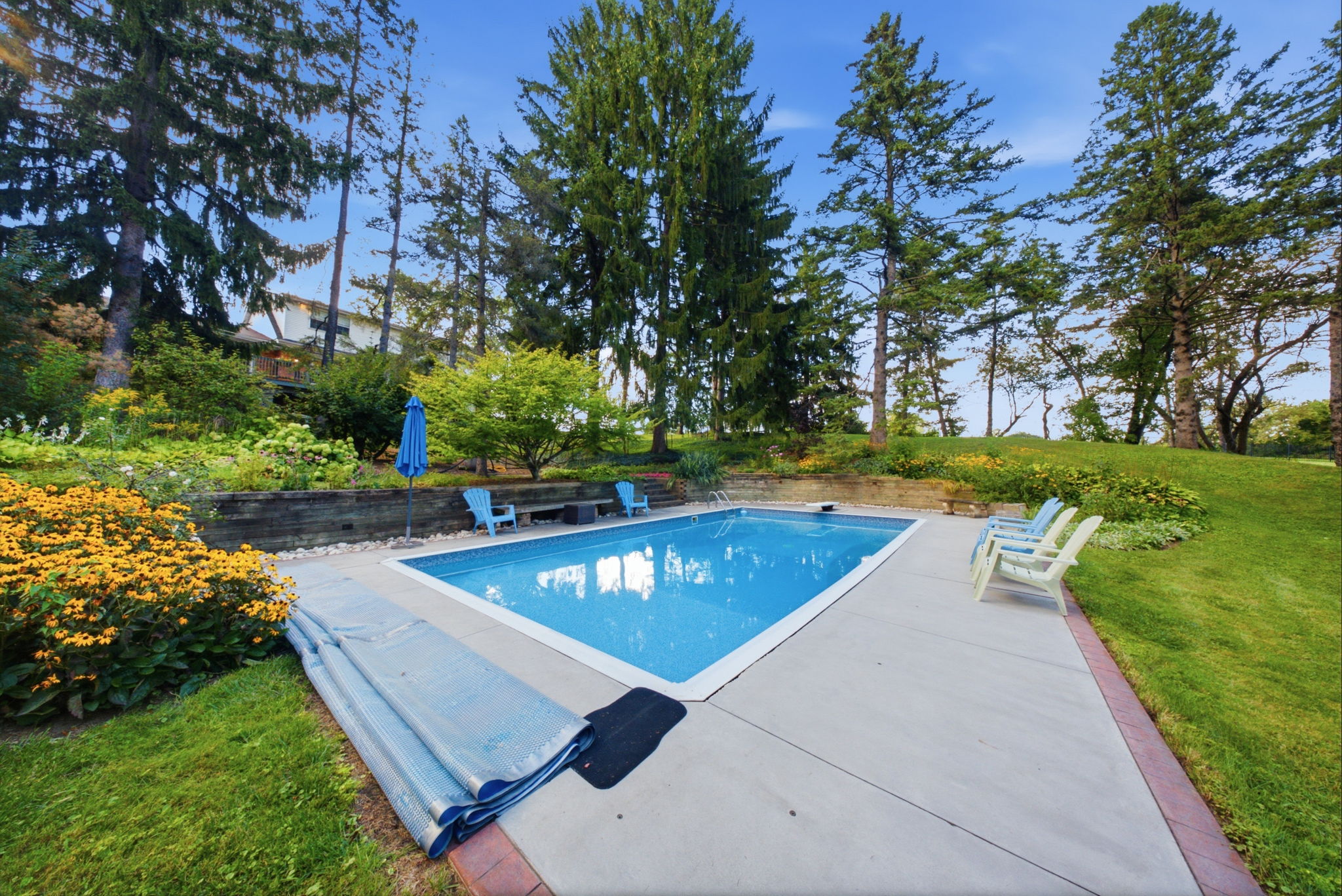  Photo 42