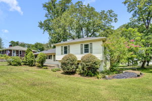  Photo 50