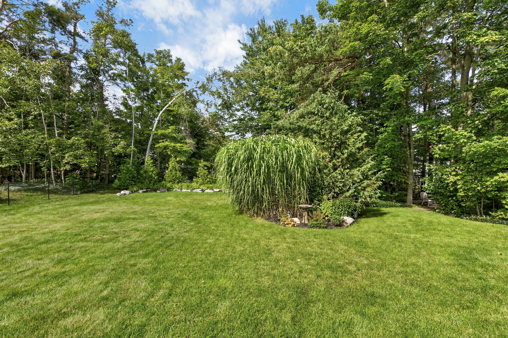 Photo 81