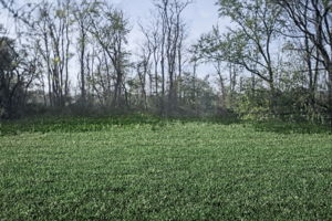  Photo 31