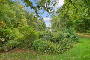View of the Lake