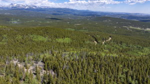  Photo 31