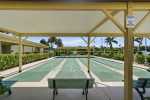 Shuffleboard