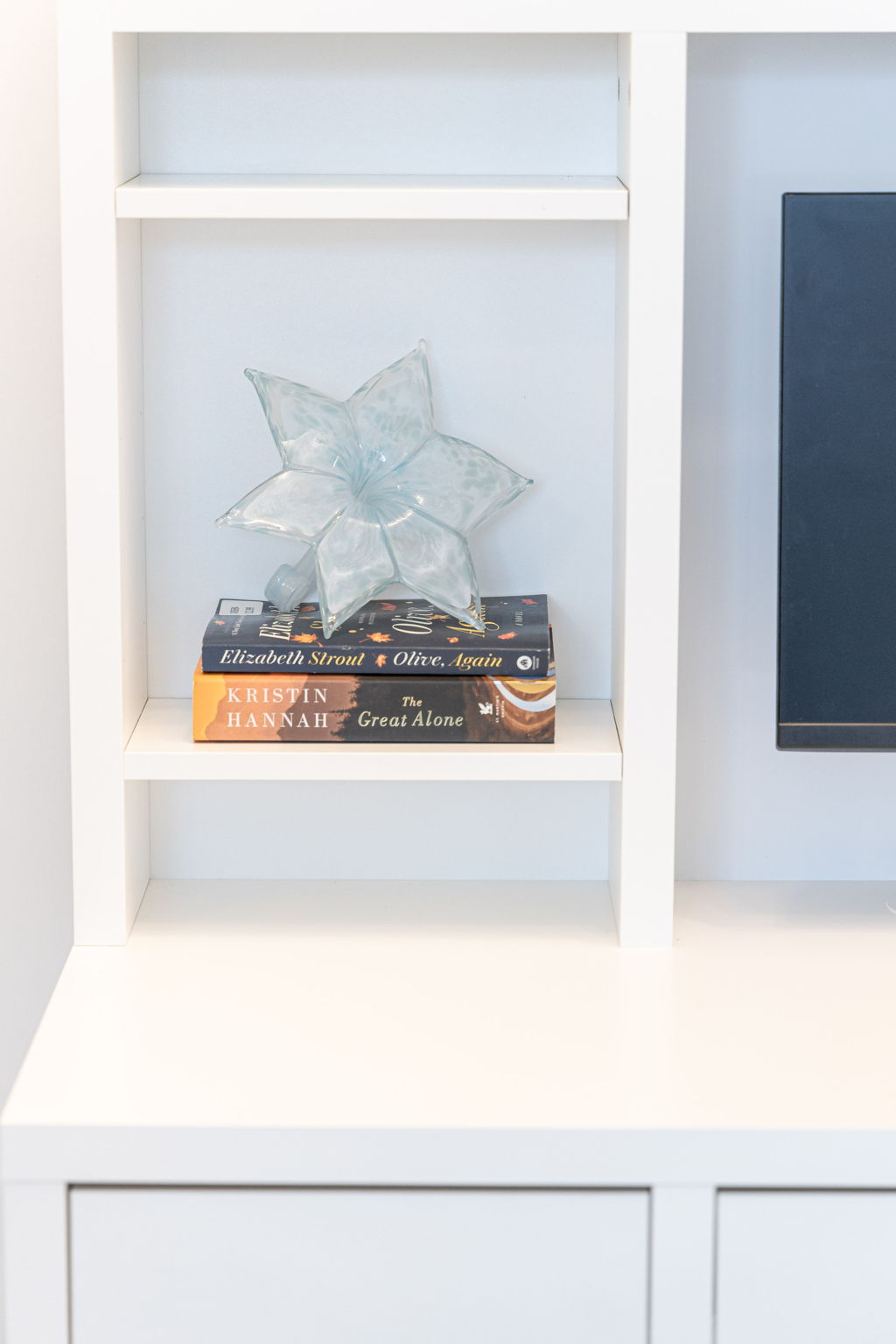 Toronto property showcase — delivered property photograph 14