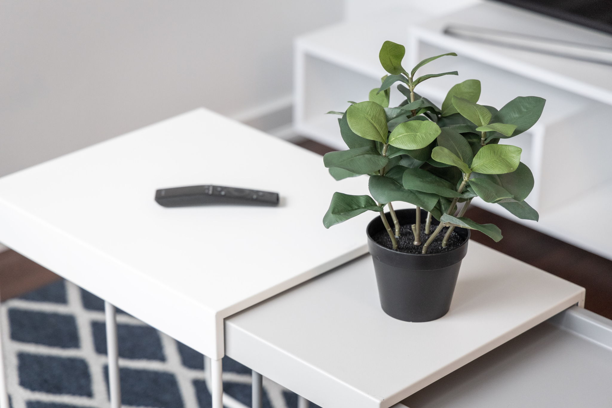 Toronto property showcase — delivered property photograph 17