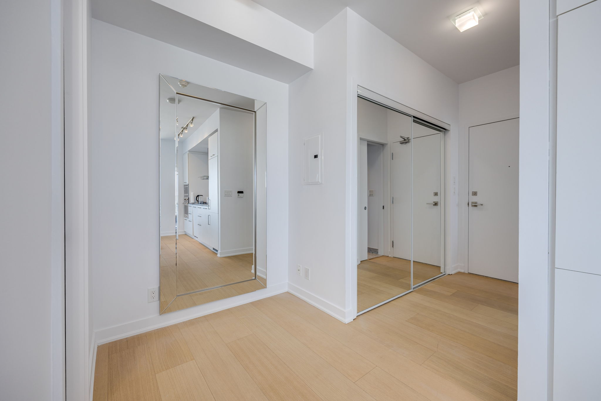 Toronto property showcase — delivered property photograph 5