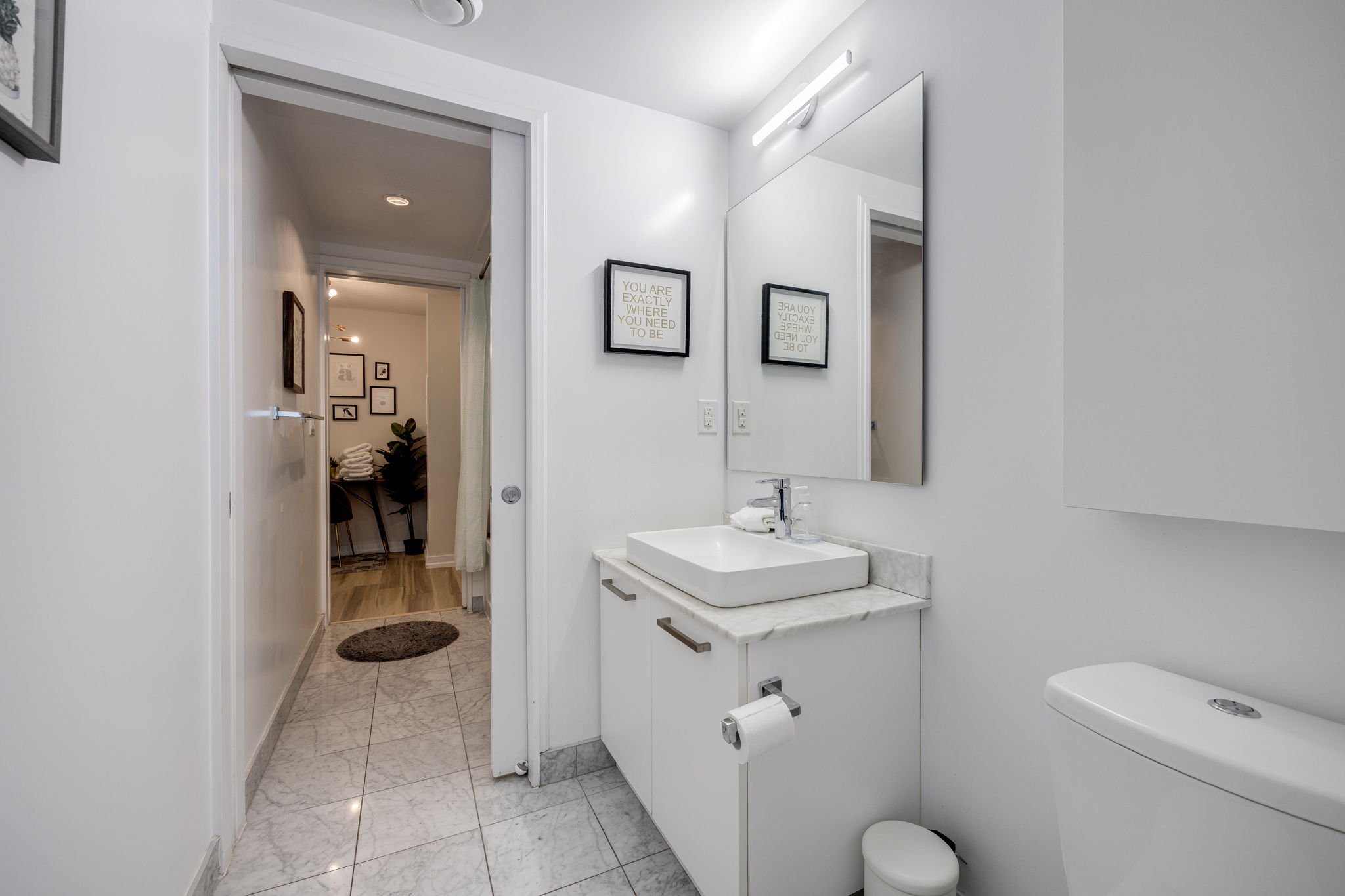 Toronto property showcase — delivered property photograph 10